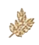 Finest Indian Barley